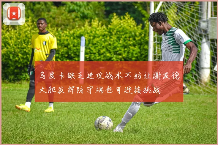 乌度卡缺乏进攻战术不妨让谢泼德大胆发挥防守端也可迎接挑战